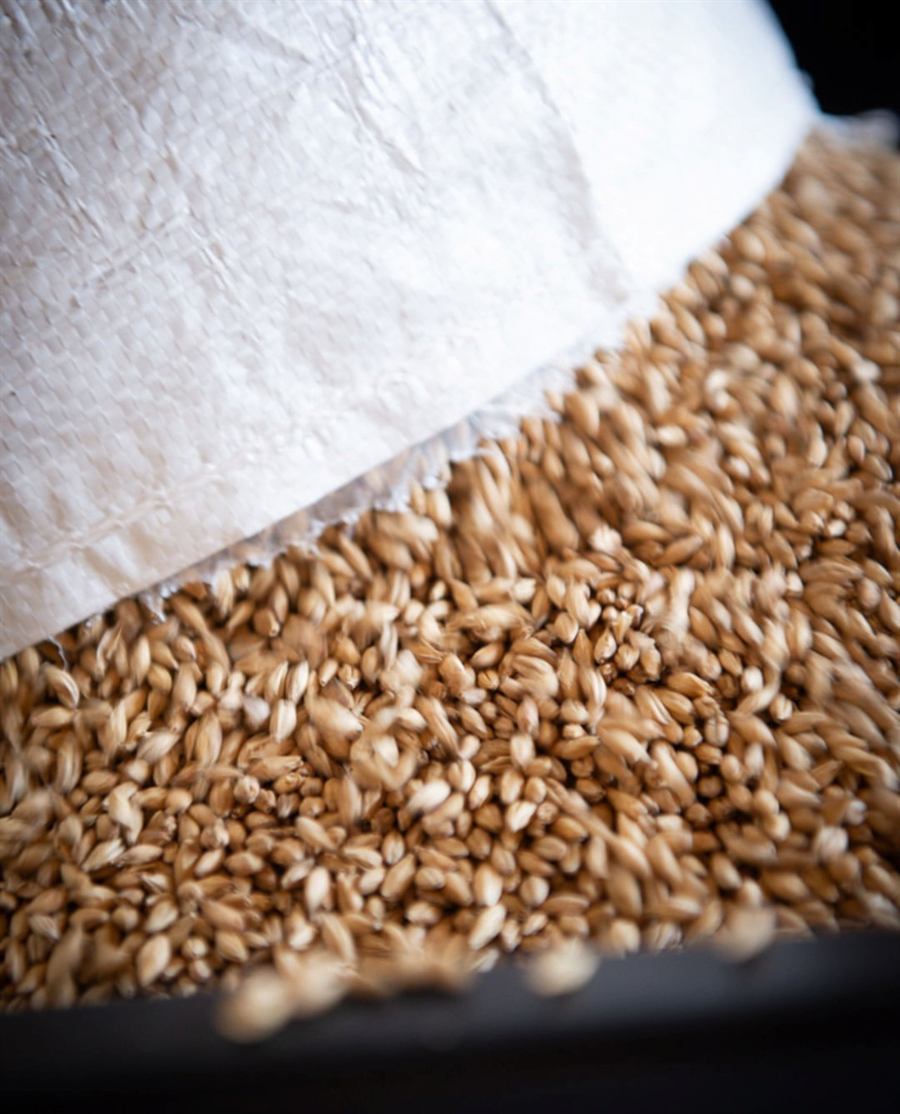 Malt grains in a bag