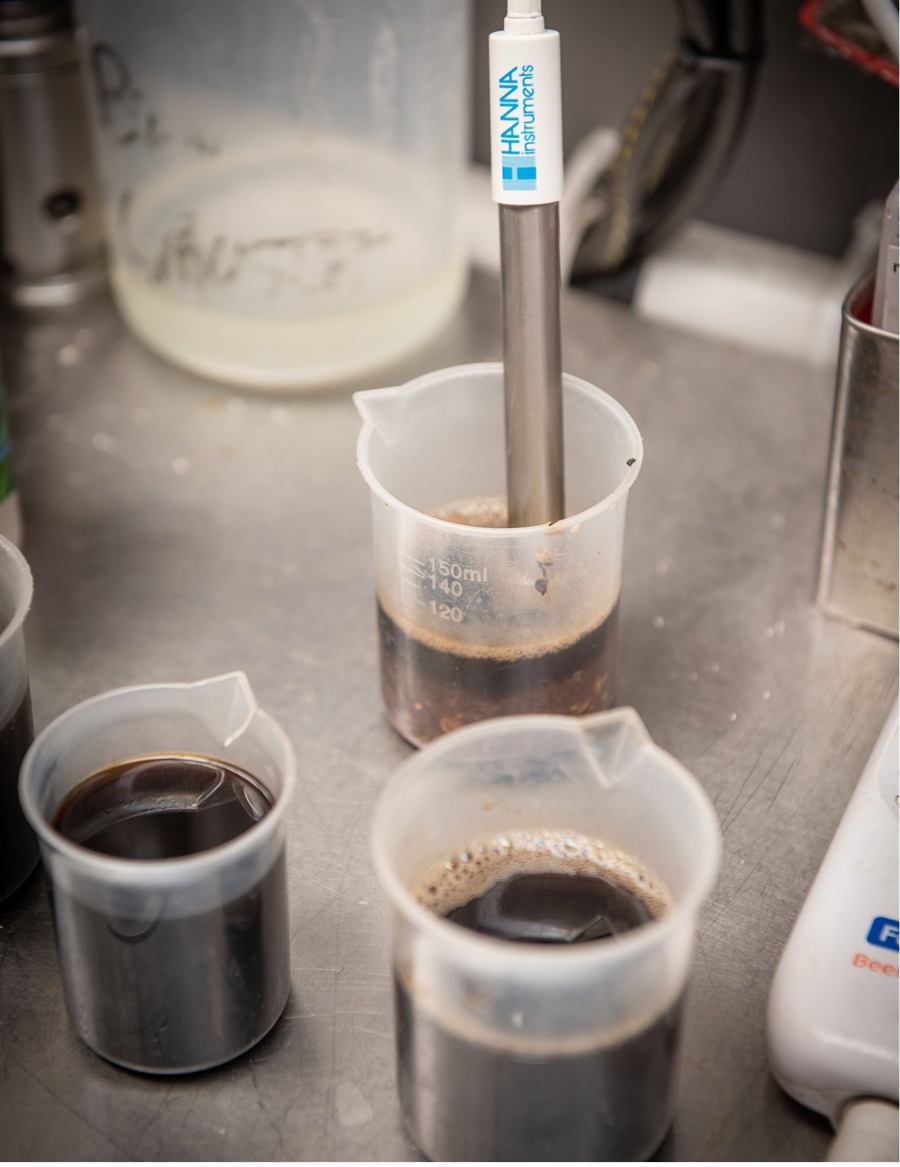 Measuring the pH of wort samples