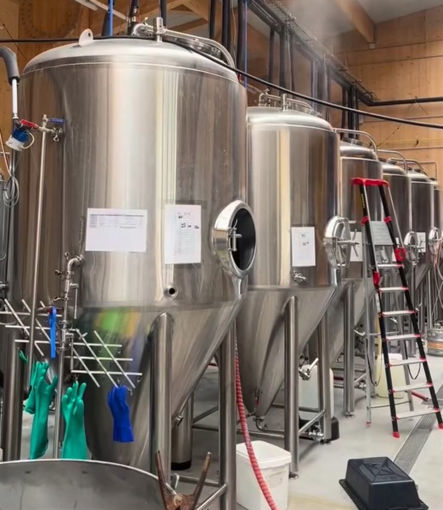 Row of stainless steel fermenters