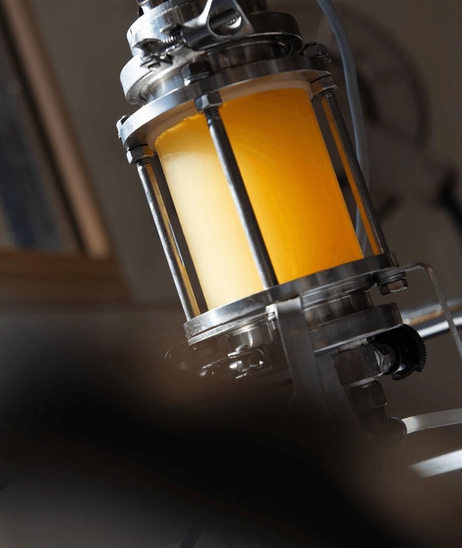 Golden beer in a sight glass